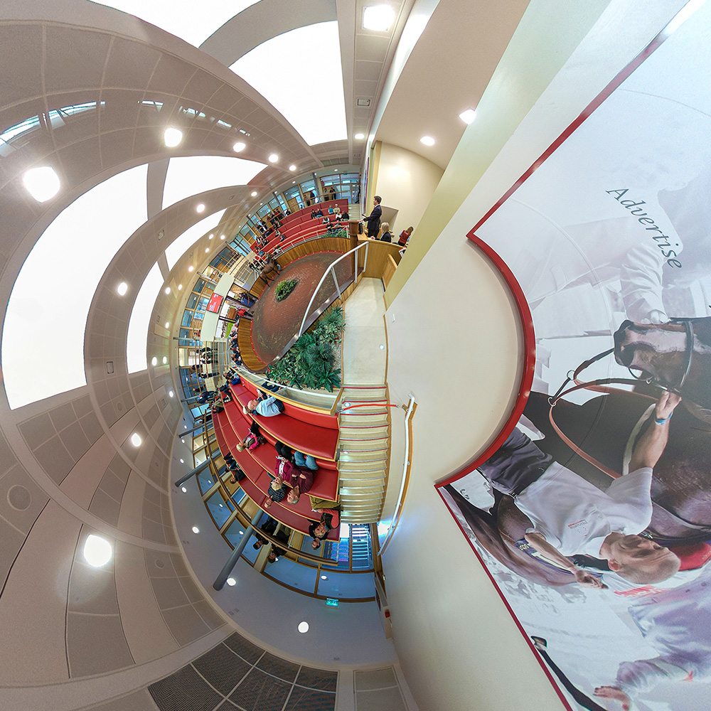  Goffs UK Bloodstock Sales 360 image 